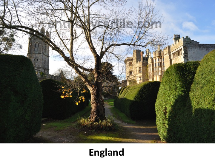 Anthony Carlile_3.jpg